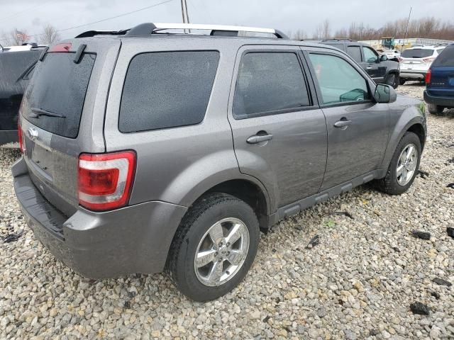 2011 Ford Escape Limited