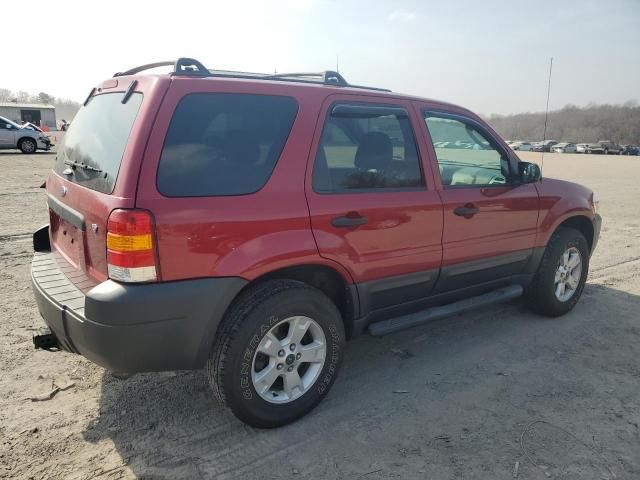 2006 Ford Escape XLT