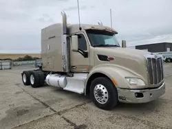 Salvage trucks for sale at Sacramento, CA auction: 2014 Peterbilt 579