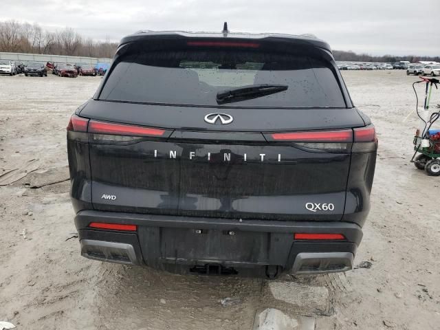 2023 Infiniti QX60 Autograph