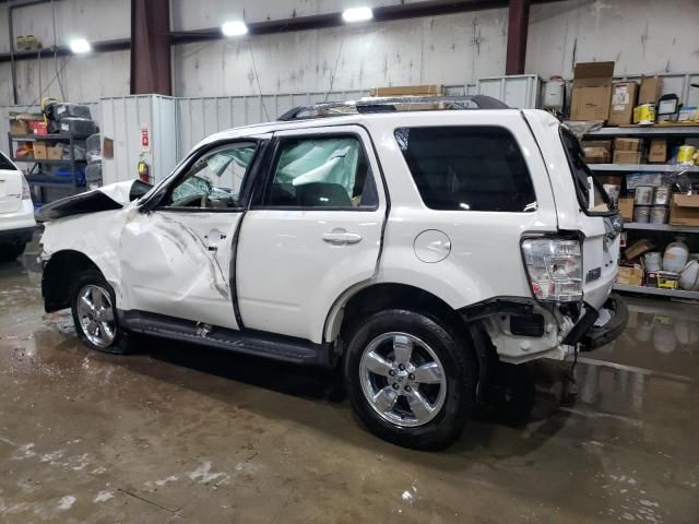 2011 Ford Escape Limited