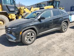 2025 Hyundai Tucson SEL en venta en Chalfont, PA