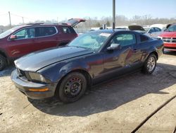 2007 Ford Mustang en venta en Louisville, KY