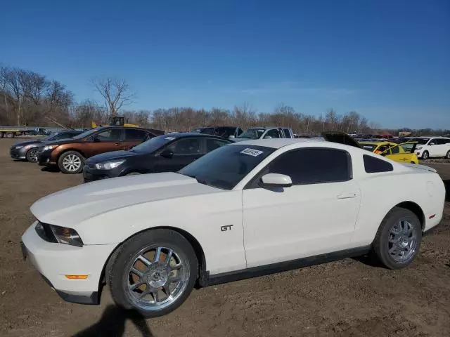 2010 Ford Mustang GT