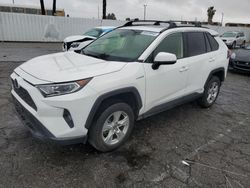 Salvage cars for sale at Van Nuys, CA auction: 2021 Toyota Rav4 XLE