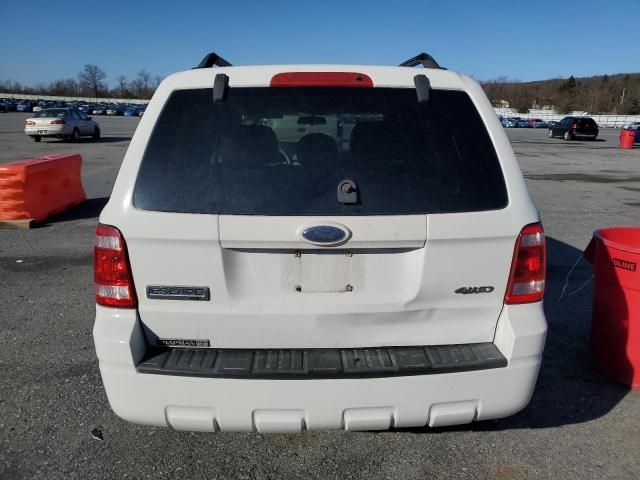 2008 Ford Escape XLT