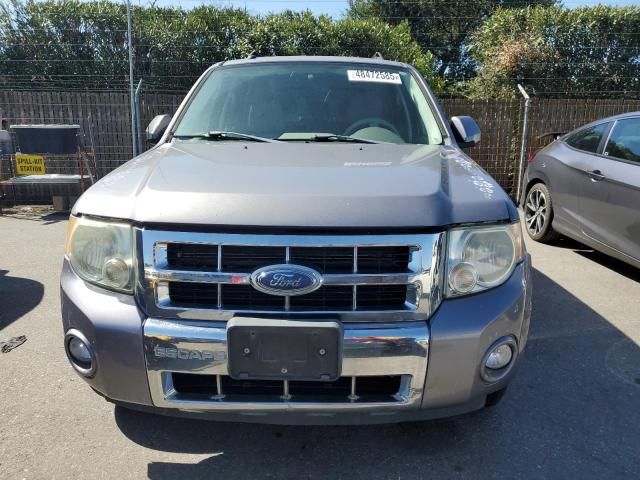 2008 Ford Escape HEV