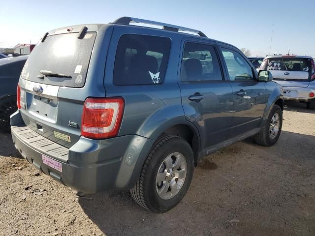 2011 Ford Escape Limited