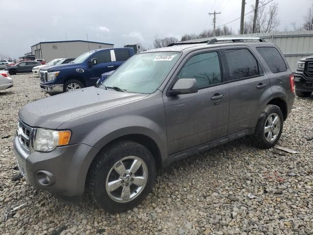 2011 Ford Escape Limited