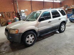 Salvage cars for sale from Copart Ebensburg, PA: 2004 Ford Escape XLT