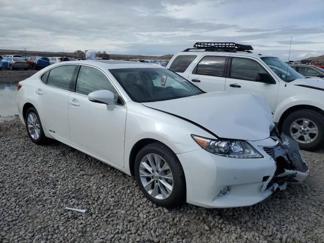 2014 Lexus ES 300H