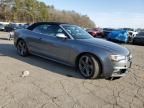 2014 Audi S5 Premium Plus