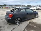 2007 Scion TC