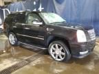 2013 Cadillac Escalade Luxury