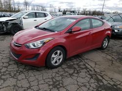 Salvage cars for sale at Portland, OR auction: 2014 Hyundai Elantra SE