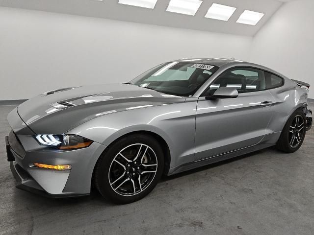 2023 Ford Mustang