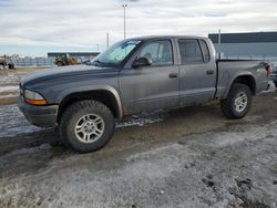 2003 Dodge Dakota Quad Sport en venta en Nisku, AB