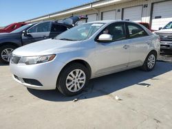 Salvage cars for sale at Louisville, KY auction: 2011 KIA Forte LX