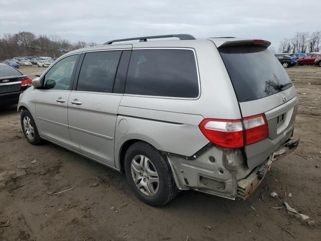 2005 Honda Odyssey EXL