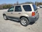 2007 Ford Escape XLT