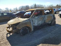 Salvage cars for sale at auction: 2017 KIA Soul +