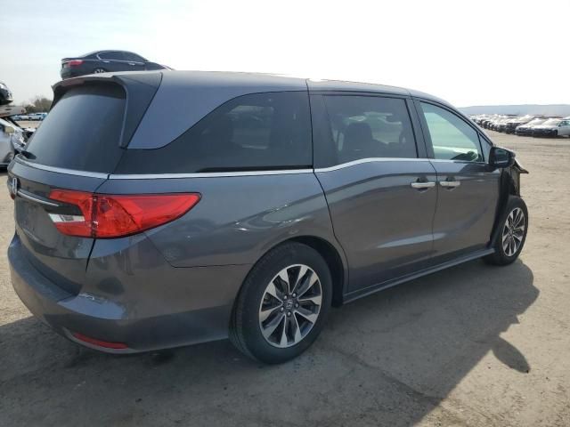 2024 Honda Odyssey EXL