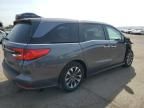 2024 Honda Odyssey EXL