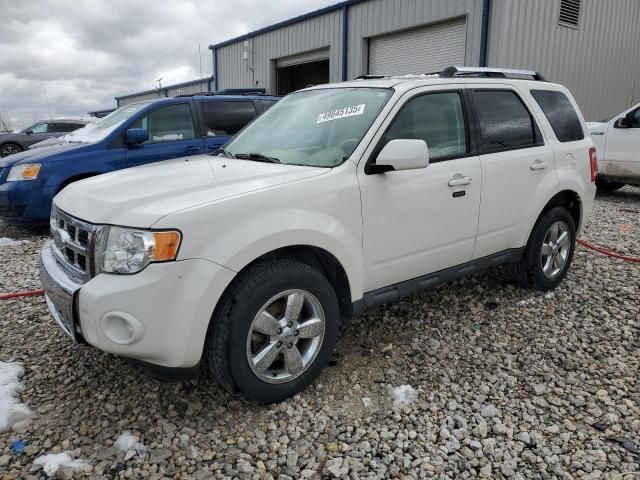 2010 Ford Escape Limited