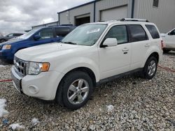 2010 Ford Escape Limited en venta en Wayland, MI