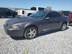 2003 Ford Mustang en venta en Riverview, FL