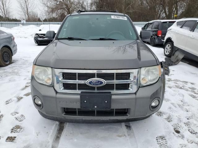 2011 Ford Escape XLT