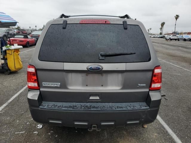 2010 Ford Escape XLT