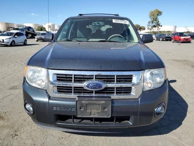 2009 Ford Escape XLT