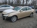 2009 Lexus ES 350