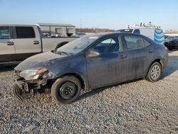 Salvage cars for sale at Earlington, KY auction: 2018 Toyota Corolla L