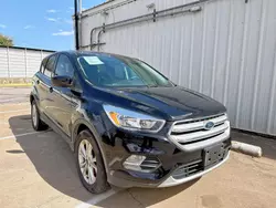 Ford Escape se salvage cars for sale: 2019 Ford Escape SE