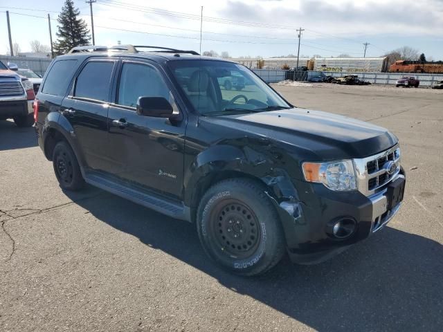 2009 Ford Escape Hybrid