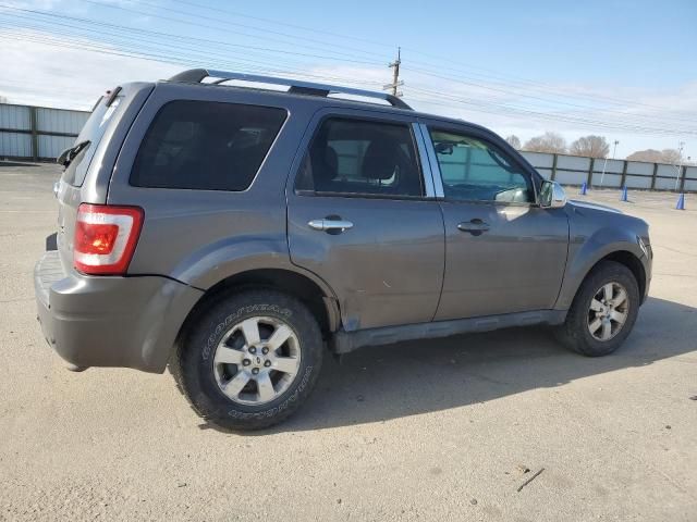 2011 Ford Escape Limited