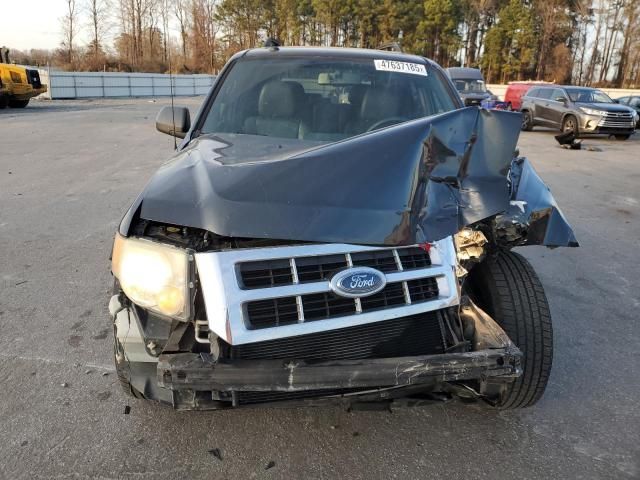 2009 Ford Escape XLT