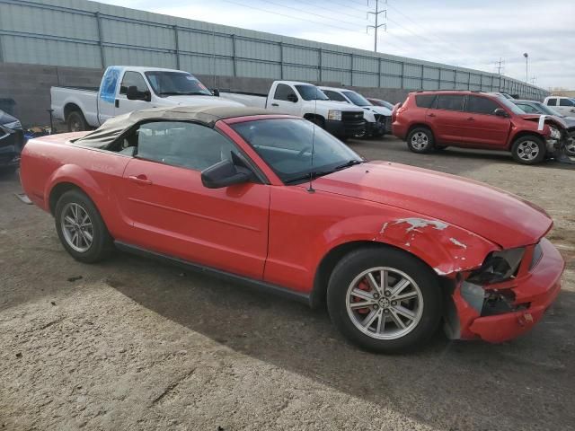 2005 Ford Mustang