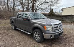 Salvage cars for sale from Copart Kansas City, KS: 2014 Ford F150 Supercrew