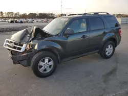 Salvage Cars with No Bids Yet For Sale at auction: 2009 Ford Escape XLT