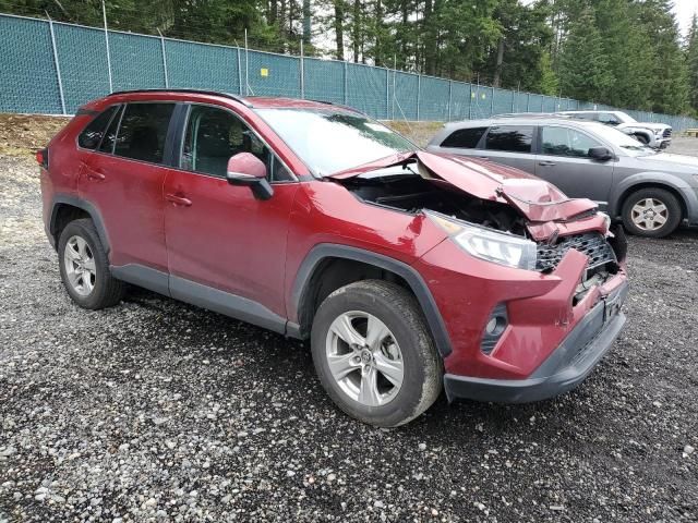 2019 Toyota Rav4 XLE