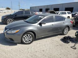 Salvage cars for sale at Jacksonville, FL auction: 2016 Nissan Altima 2.5