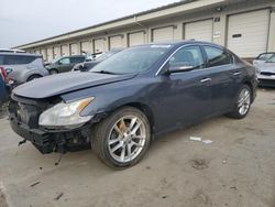 Salvage cars for sale at Louisville, KY auction: 2009 Nissan Maxima S