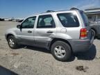 2002 Ford Escape XLS