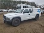 2004 Dodge Dakota SXT