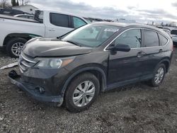 Honda salvage cars for sale: 2013 Honda CR-V EXL