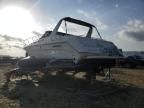 1995 Sea Ray Boat