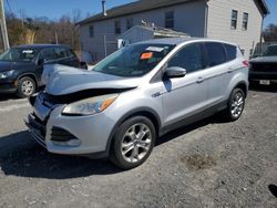 Salvage cars for sale at York Haven, PA auction: 2013 Ford Escape SEL